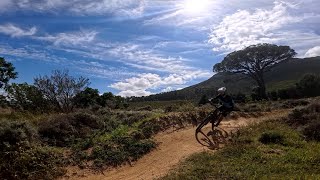 Stellenbosch Tripping  Some Bushes May Have Been Harmed [upl. by Wilbur]