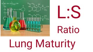 Lecithin Sphingomyelin Ratio LS Ratio [upl. by Holly]