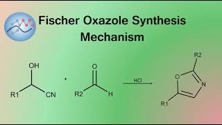 Fischer Oxazole Synthesis Mechanism  Organic Chemistry [upl. by Kitrak327]