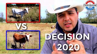 Decision 2020 The Race To Be The LEAD COW [upl. by Daley]