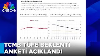 Merkez Bankası Yıl Sonu Tüketici Fiyat Endeksi Anketi Açıklandı [upl. by Ylac881]