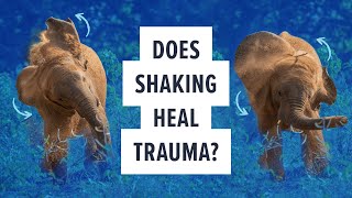 Does shaking heal trauma [upl. by Ariella652]