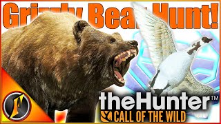 Wild 💎 Goose Chase on Our Grizzly Bear Hunt  theHunter Call of the Wild [upl. by Anagrom897]