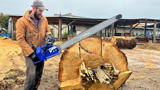 Holzfforma G888 vs big oak log [upl. by Aneel473]