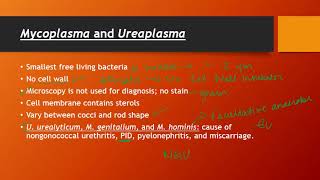 Mycoplasma and Ureaplasma [upl. by Ened845]