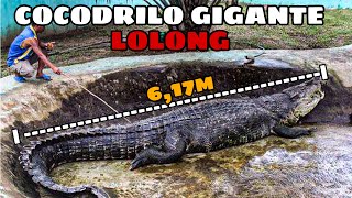 LOLONG  El Cocodrilo Gigante que causó Terror por su Descomunal Tamaño [upl. by Iruy]