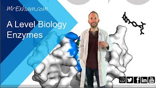 Enzymes Part 2  Inhibition  A Level Biology [upl. by Ronnie]