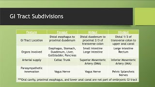 Foregut Midgut and Hindgut [upl. by Vial163]