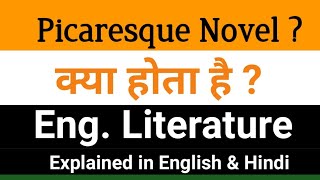 What is Novel   Picaresque Novel किसे बोलते है   Picaresque Novel with Elements and Examples [upl. by Swen]