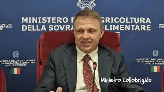 Ministro Lollobrigida alla presentazione di Filiera Pasta [upl. by Dine]