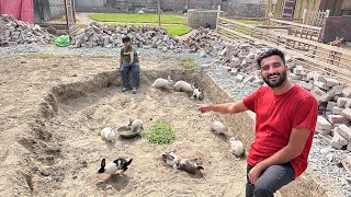 Ham Yahan Pr Bht Piara Rabbits House Bnwa Rhy Hain😍 [upl. by Thurlough664]