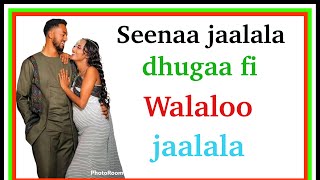 🛑 Seenaa jaalala dhugaa fi Walaloo jaalala oromia ethiopa [upl. by Saba]