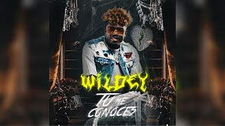 Wildey  Tu Me Conoces [upl. by Ennaylime]