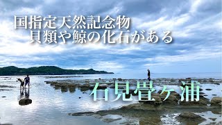 【石見畳ヶ浦】国指定天然記念物、貝類や鯨の化石がある [upl. by Llenwad]