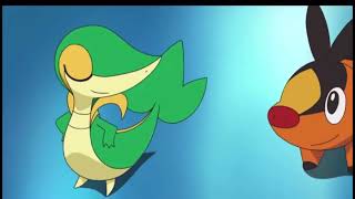 Snivy AMV Discord [upl. by Ennovyahs]