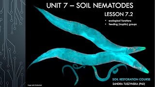 Lesson 72  Ecological functions of soil nematodes [upl. by Blanc662]