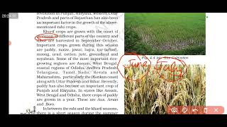 Cropping Pattern  Rabi Kharif and Zaid crops [upl. by Lasiaf]