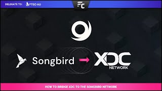 ✨ XDC on Songbird  How To Earn Passive Income ✨  Ēnosys  Part 1 Bridging [upl. by Arok]