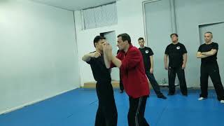 Wing Chun Paris [upl. by Selda758]