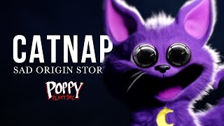 SAD ORIGIN Story of CATNAP  Poppy Playtime 3 Real Life [upl. by Alix321]