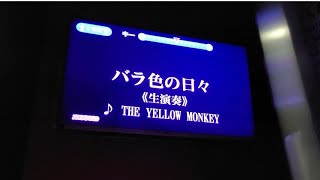 バラ色の日々 THE YELLOW MONKEY カラオケ練習 [upl. by Selinski237]