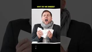 Sneezing While Eating  Know The Facts  facts ytshorts factshorts viralvideo shorts trend [upl. by Nawad]