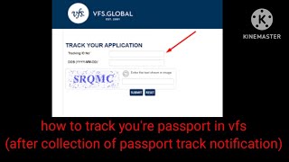 How to track vfs Global visa application status online How to track your passport  blue dart track [upl. by Kylah366]