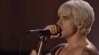 RED HOT CHILI PEPPERS  Californication live in Woodstock [upl. by Betthezul]