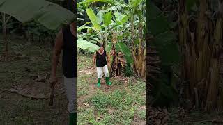 Nakatago sa dahon khemyattv funny comedyclips justforfun comedyvideos justlaughtrip funnyvide [upl. by Lotsyrk]