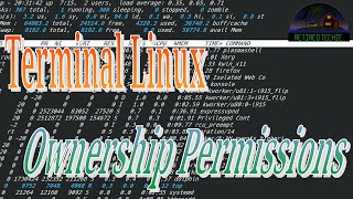 Terminal Linux  FileFolder Ownership and Permissions [upl. by Corette]