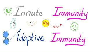 Innate Immunity vs Adaptive Immunity  Complement System  Physiology Lectures Series [upl. by Hepsiba]