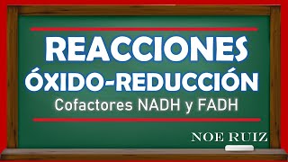 Reacciones ÓxidoReducción Cofactores NADH y FADH  Bioquímica [upl. by Anton]