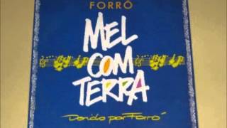 Mel com Terra  Vol 01  Doido Por Forró  1993 [upl. by Nomled]