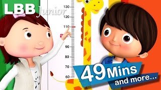 Measuring Your Height Song  And Lots More Original Songs  From LBB Junior [upl. by Etnohc553]