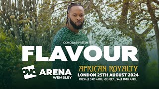 FLAVOUR THE CONCERT OVO ARENA WEMBLEY 2024 FULL CONCERT [upl. by Adirehs]