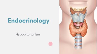 Endocrinology  Hypopituitarism [upl. by Artenal]