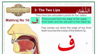 Makhraj No 1417  Makhraj of Faa  Articulation Points of Arabic Letters [upl. by Lachance282]