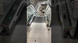 ThyssenKrupp Tugela FT842 Escalator Down  Paradise Centre Gold Coast Australia shorts [upl. by Einaled574]