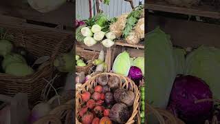 Anacortes Washington Farmers market [upl. by Ahseneuq756]