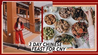 This is REAL Cantonese Chinese Food  HK Travel Vlog [upl. by Trebleda]