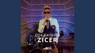 Zicer Cover [upl. by Dieter]