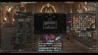 Lineage 2  AP setup for Eviscerators [upl. by Calla]