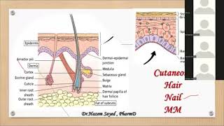 🔴 Dermatology أسئلة الديرما العلمية للانترفيو DrHazem Sayed [upl. by Ynnhoj843]