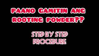 Rooting Powderstep by step procedurePaano gamitin ang rooting powder effective ba [upl. by Tove]