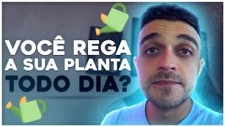 CUIDADO Não regue a planta todo dia [upl. by Oirogerg517]