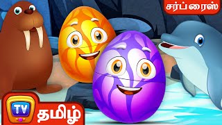 நீர்விலங்குகளும் அதன் சப்தங்களும் Wildlife Mammals  ChuChu TV Tamil Farm Animals Surprise Eggs [upl. by Tarryn861]