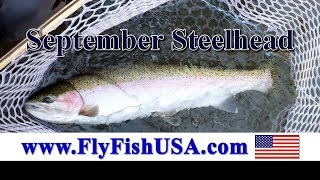 September Steelhead [upl. by Slotnick796]