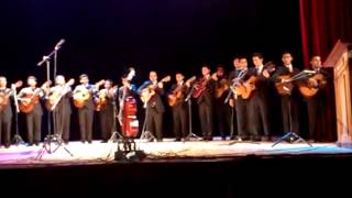 El Andariego Rondalla Universitaria Alvaro Carrillo [upl. by Meingolda]