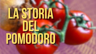 La STORIA del POMODORO [upl. by Dulcinea]