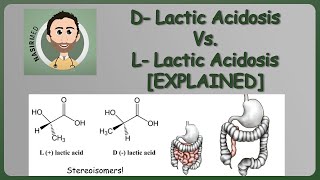 Lactic Acidosis  Lactic Acid  Lab 🧪 Why your muscles 💪 get sore 😱 [upl. by Nimref]